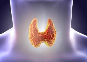 Problemas de tiroides: ¿Cómo identificarlos?
